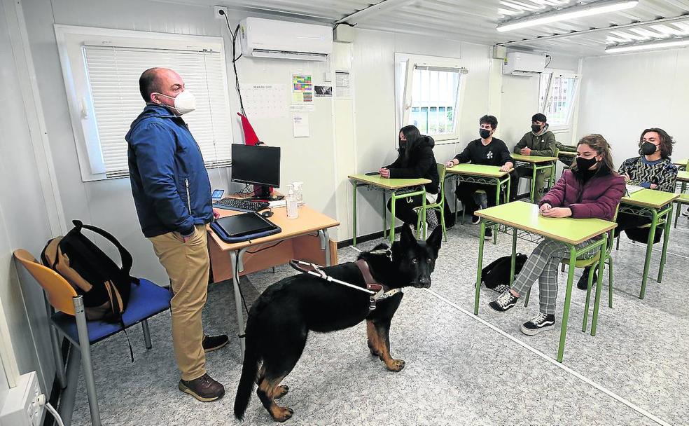 El profesor que da clase con perro guía