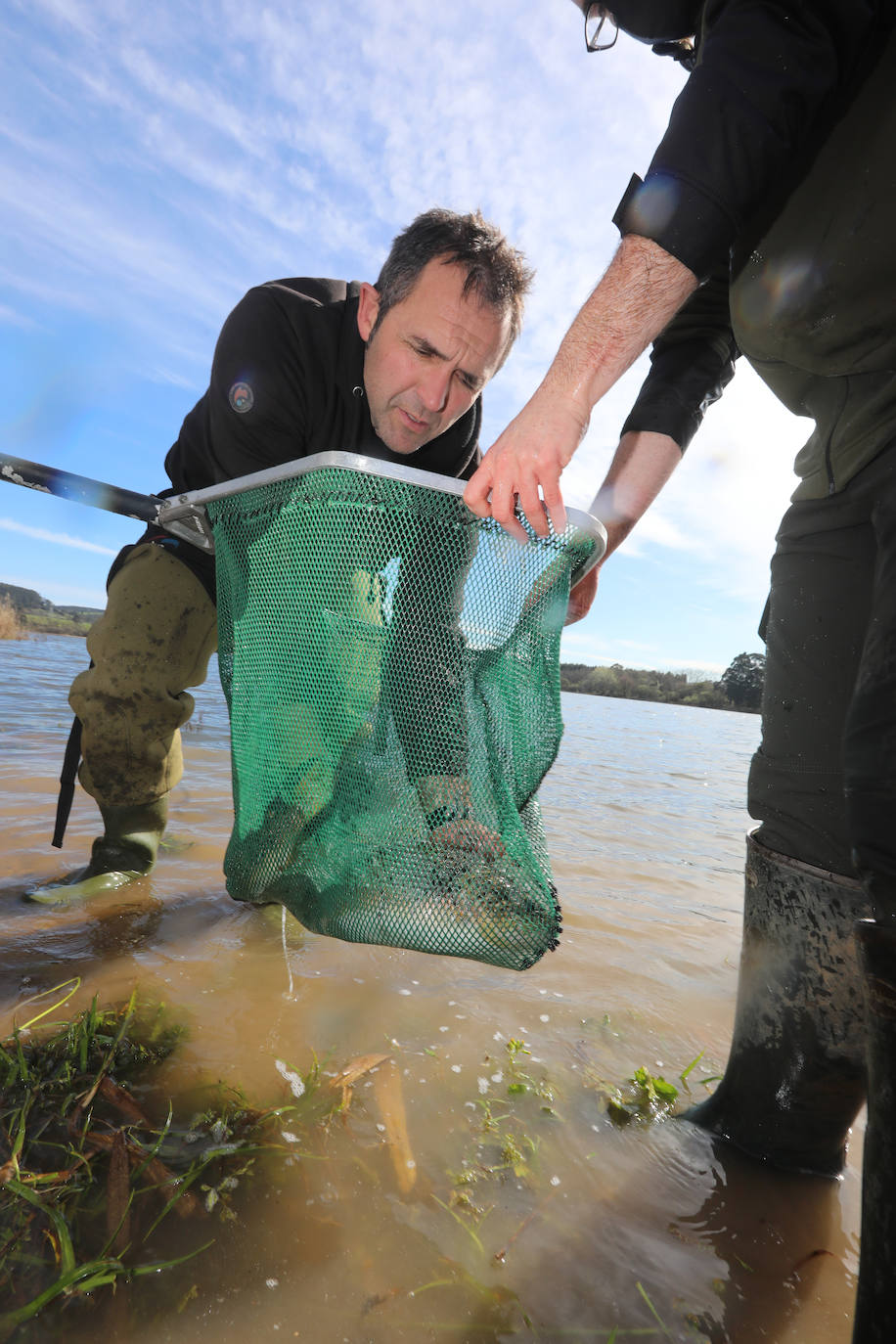 La trucha vuelve a La Granda