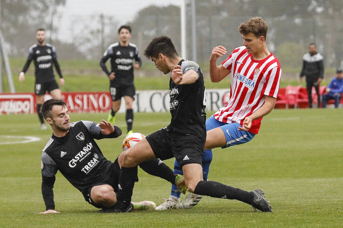 Las mejores imágenes del Sporting B - Lealtad