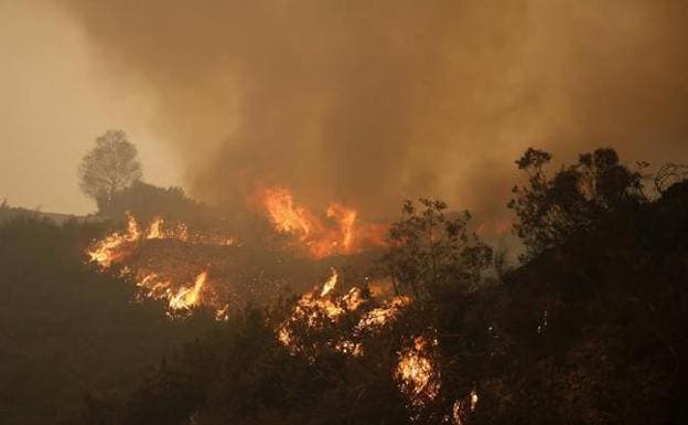 El occidente de Asturias, en riesgo alto de incendios este domingo