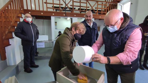 La campaña de la angula en el Nalón se cierra con menos de mil kilos de capturas