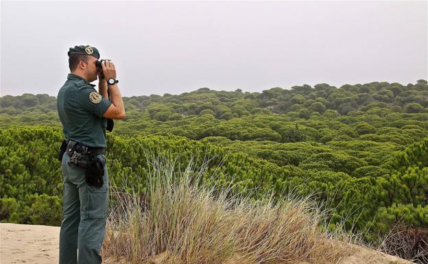 Más de mil científicos de 25 sociedades salen en defensa de Doñana