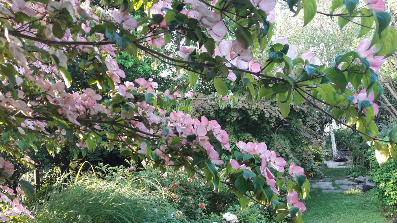 El colorido jardín de Margarita en Muros