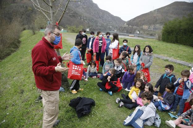 Un busardo ratonero emprende el vuelo tras ser curado en el hospital de la fauna