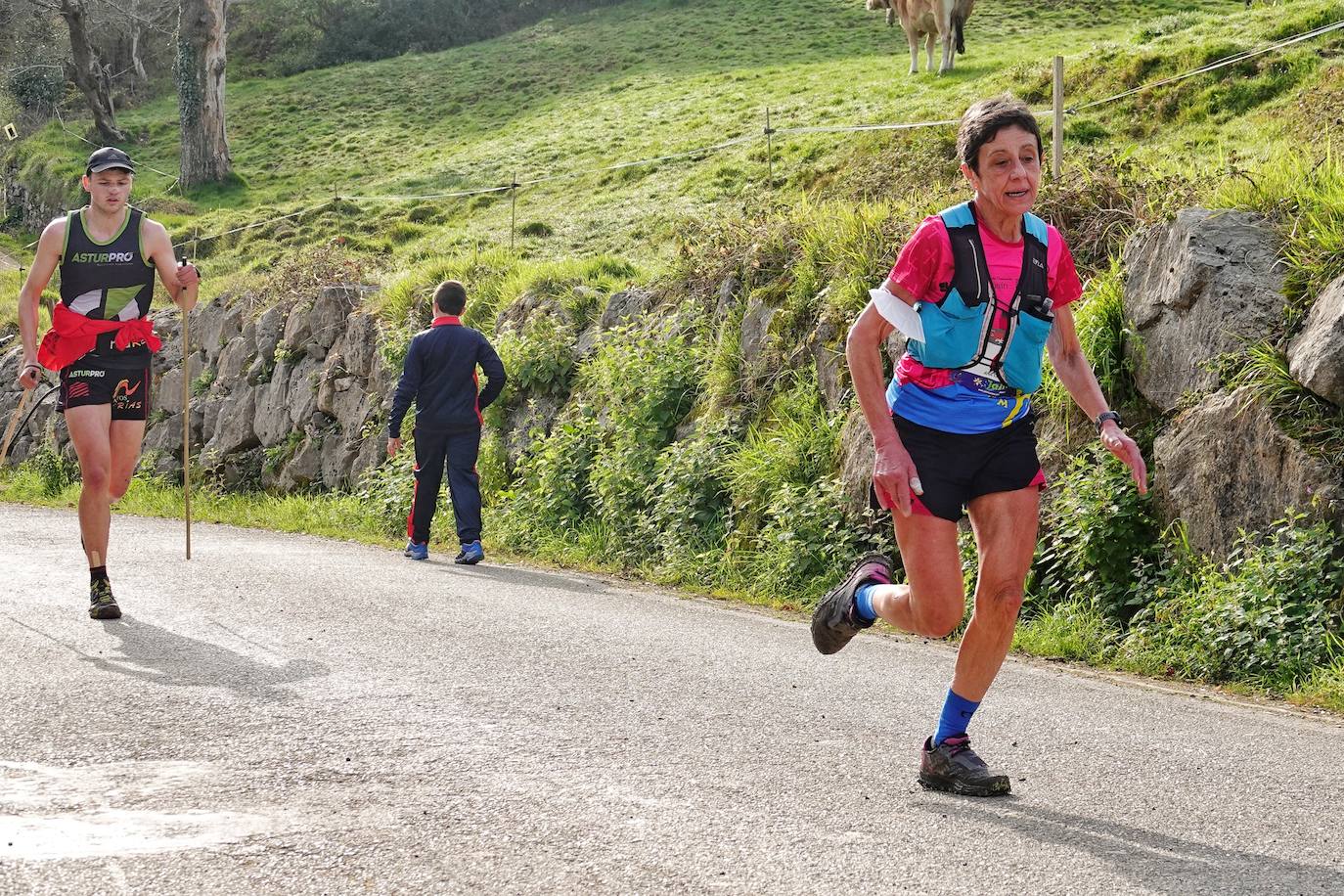 Subida al Picu Pienzu: una ventana a la montaña asturiana
