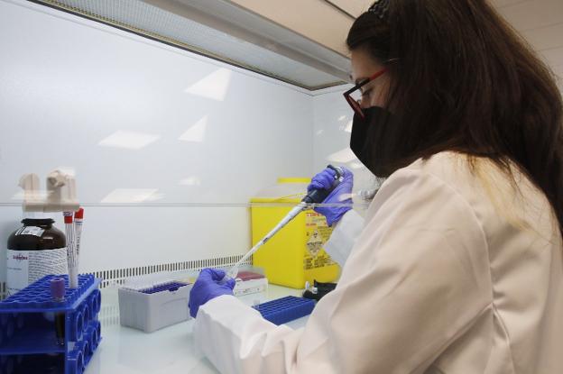 Estudios genéticos o el «paradigma» de la medicina personalizada