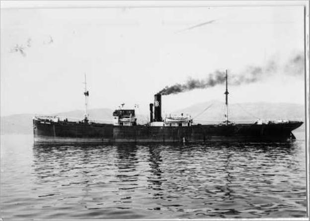 Ocho vidas bajo el mar