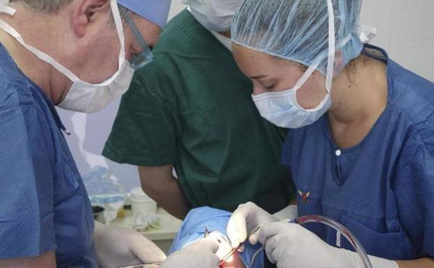 Solo un 31% de las personas citadas para un cribado colorrectal se hicieron la prueba