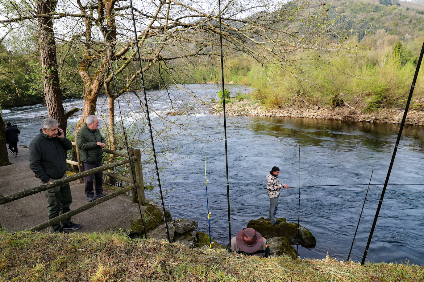 Así fue la jornada de pesca del Campanu en el Narcea