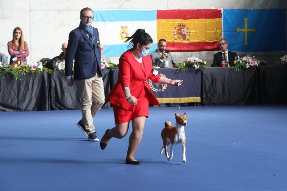 Las mascotas no conocen fronteras en Principets