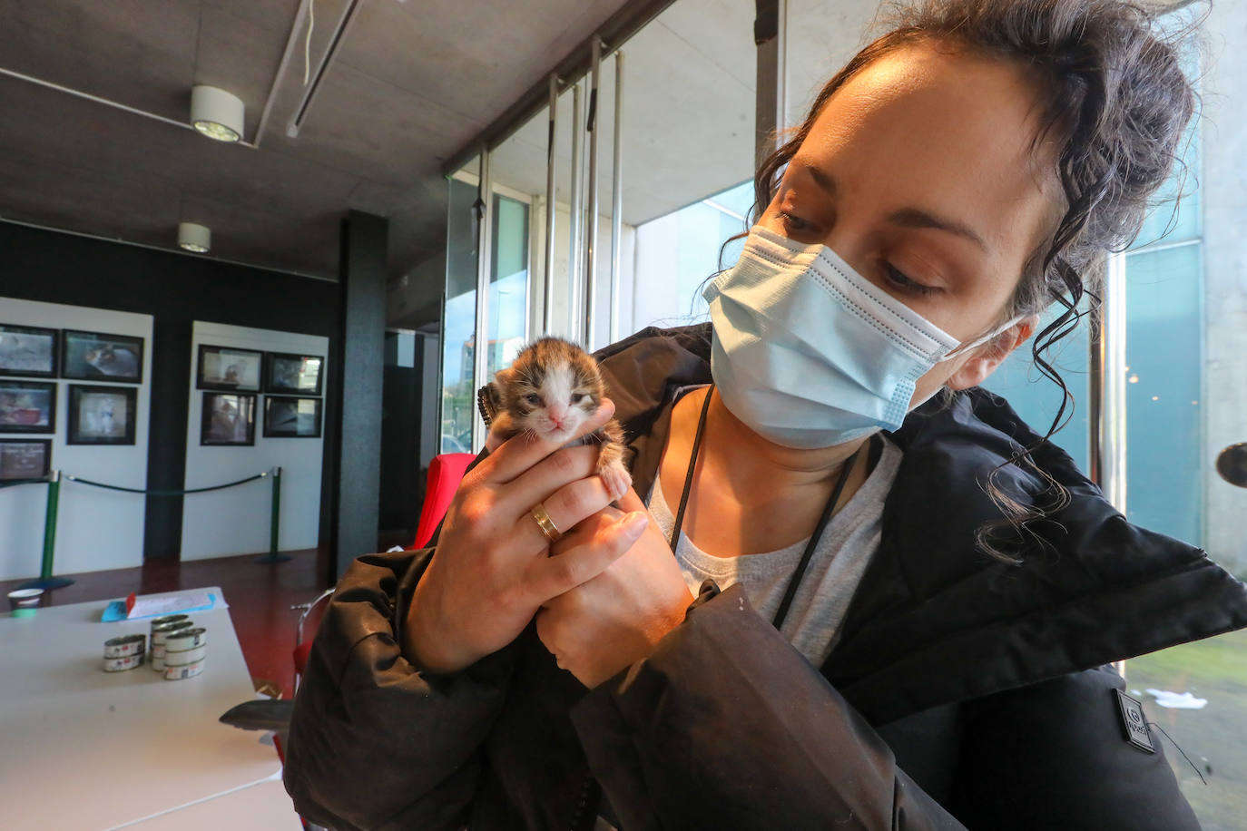 Ternura y belleza de las mascotas