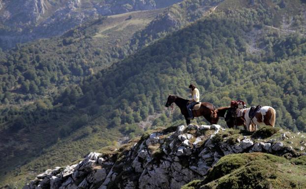 Recorrer la montaña con caballos como guías: una experiencia única en el Parque Natural de Redes