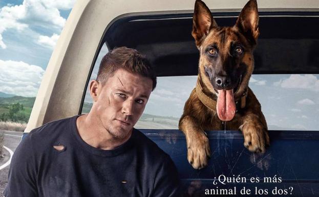 Los perros podrán acompañar a sus dueños al cine por primera vez el sábado 23 de abril