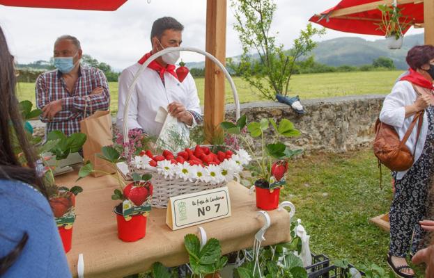 El Festival de la Fresa de Candamo vuelve en junio con el programa completo