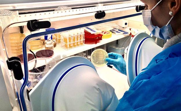 Una biotecnológica asturiana recibe una inversión de 1,5 millones de euros de un grupo médico privado