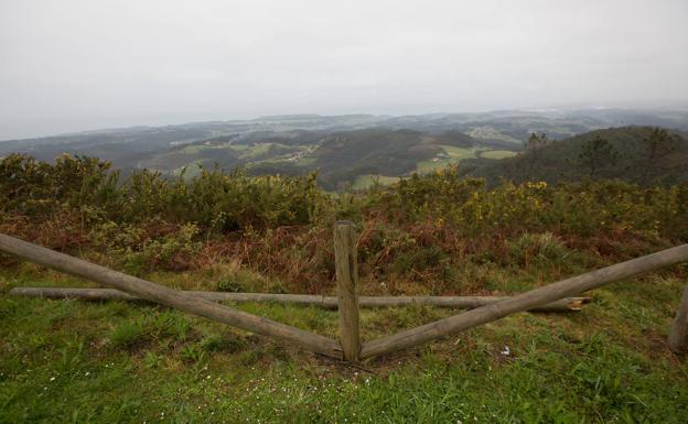 El acusado por maltrato animal señala rencillas con los denunciantes