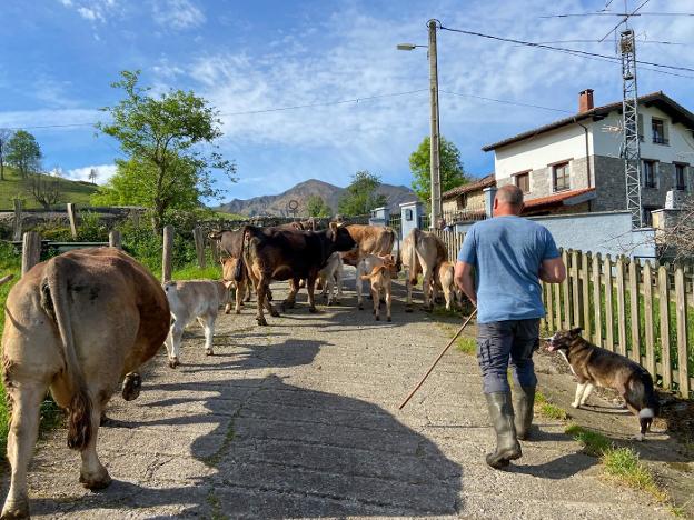 La furgoneta con la que se despeñó «no era adecuada para una pista de montaña»