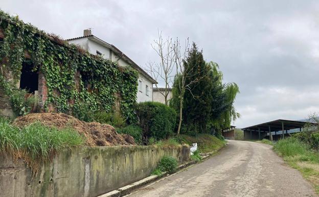 «Estamos destrozados, no puede haber nada peor que perder así a un niño»