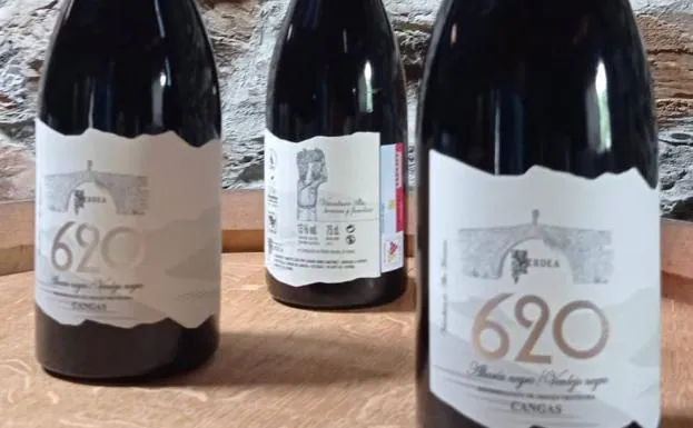 Dos vinos de Cangas, entre los mejores de España