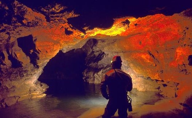 Logran aislar el virus asturiano Lloviu, pariente del Ébola