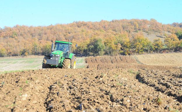 El nuevo sistema de módulos rebaja 1.100 millones en impuestos para 900.000 agricultores