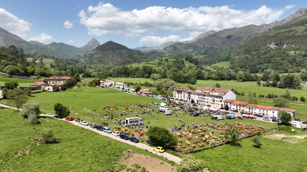 La feria de ganado de San Isidro regresa a Panes con «éxito total» tras dos años