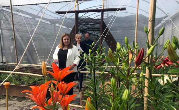 El Principado pone en marcha dos nuevos ciclos de FP y oferta 9.582 plazas para el próximo curso