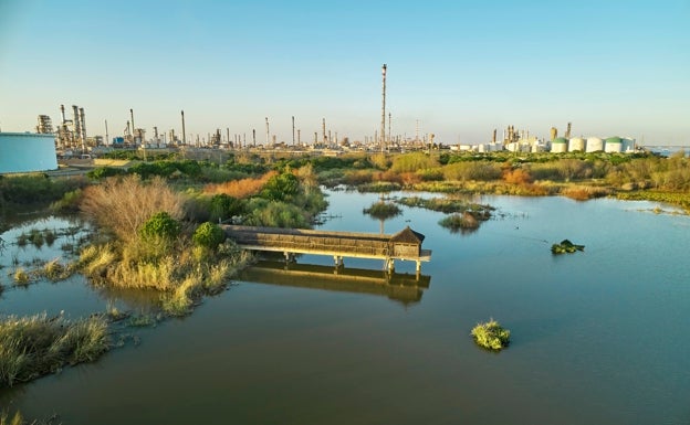 Cepsa reducirá la captación de agua en zonas con estrés hídrico