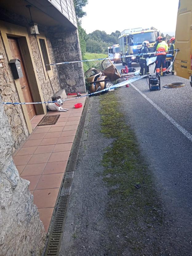 El perro que no dejó de lamer a la dueña ni se separó del coche