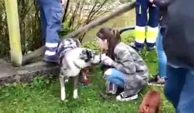 Un guardia civil rescata un perro caído al Nalón