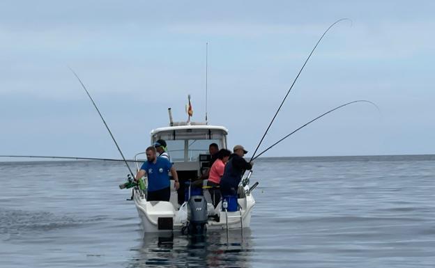 El Congreso respalda a los pescadores frente a los éolicos marinos en caladeros