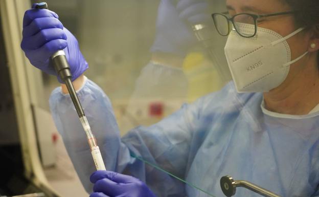 Un fármaco logra que el cáncer de colon remita totalmente en un grupo completo de pacientes