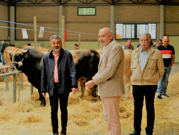 Calvo prevé para este verano la reapertura del carril de la AS-15 a la altura de Carabazos