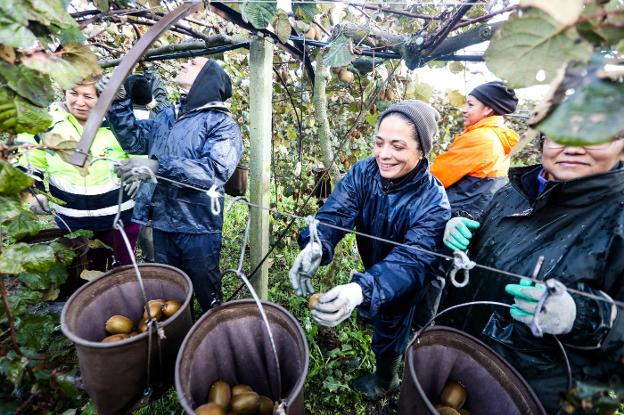 Asturias busca en la inmigración una solución a sus problemas demográficos