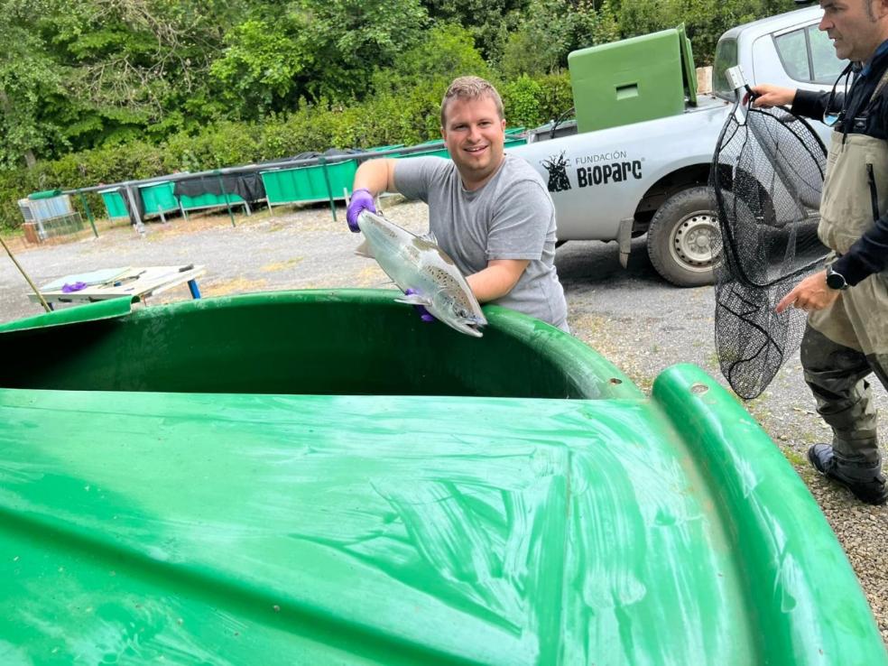 Los pescadores llenan el 'arca' del Narcea de salmones