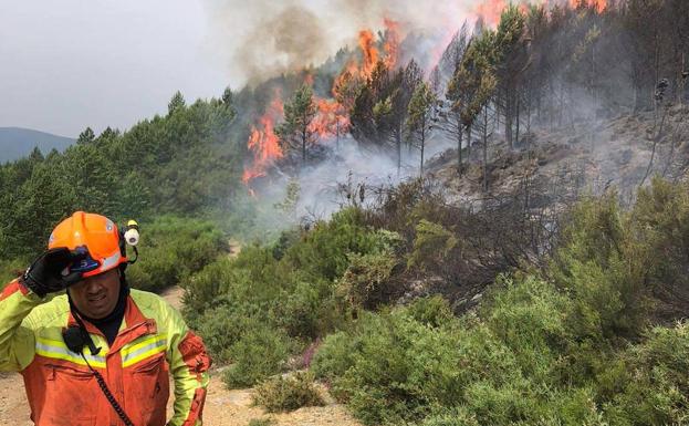 Cerca de 50 efectivos y dos helicópteros luchan contra un incendio forestal en Ibias