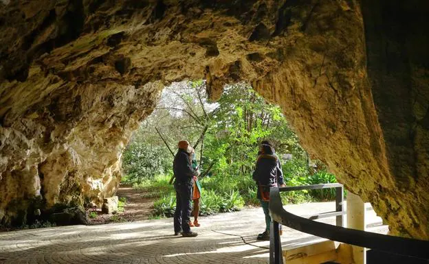 La cueva de Tito Bustillo recupera un cupo de visitantes cercano al de antes de la pandemia