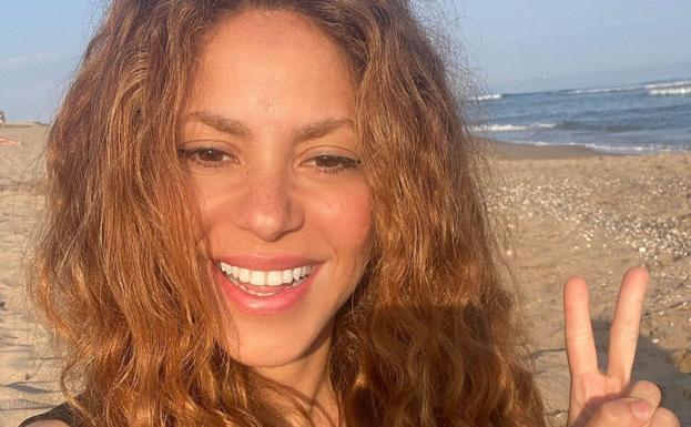 Los motivos que llevarían a Shakira a amurallar su casa