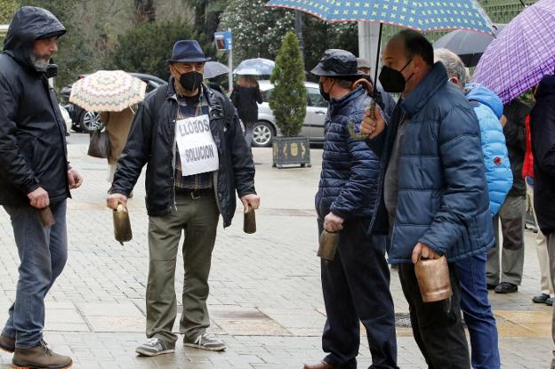 El TSJA avala las actuaciones de control del lobo de Asturias