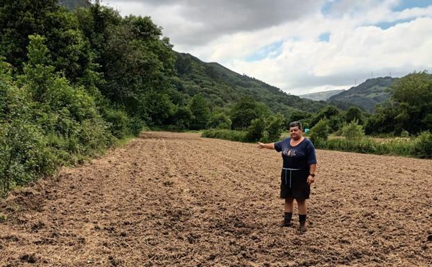 «Sembramos para vivir, para nosotros. No pueden criar jabalíes a nuestra costa»