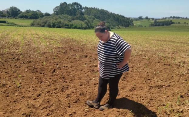 Los ganaderos temen que el jabalí traiga la peste porcina que ya afecta a Italia y roza Francia