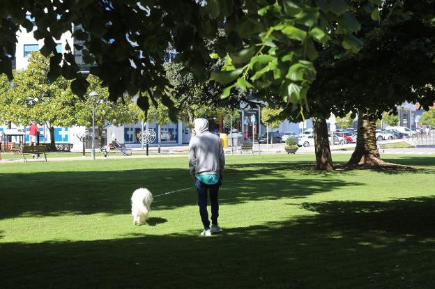 Las alegaciones retrasan la entrada en vigor de la ordenanza de animales