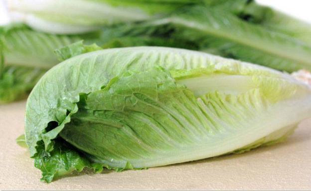 Arguiñano revela cómo conseguir que la lechuga aguante fresca más tiempo