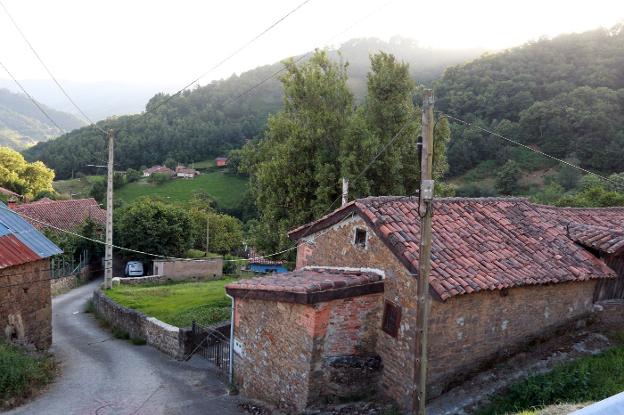 Fallece un vecino de Blimea atrapado bajo su tractor al volcar en una pista forestal