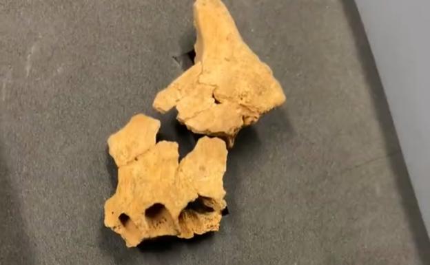 Localizan en Atapuerca la «cara del primer europeo»