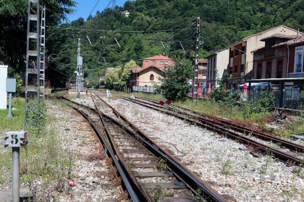 Veinte asociaciones se movilizan contra la supresión del tren entre El Berrón y Laviana