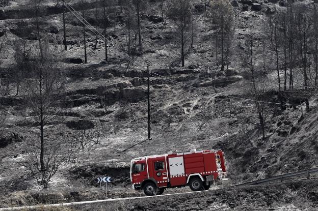 Dos olas de calor en un mes sumen a España en la mayor plaga de incendios forestales de la década