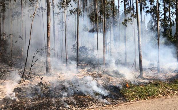 Una empresa de reforestación provoca un fuego en Zaragoza que arrasa ya 14.000 hectáreas