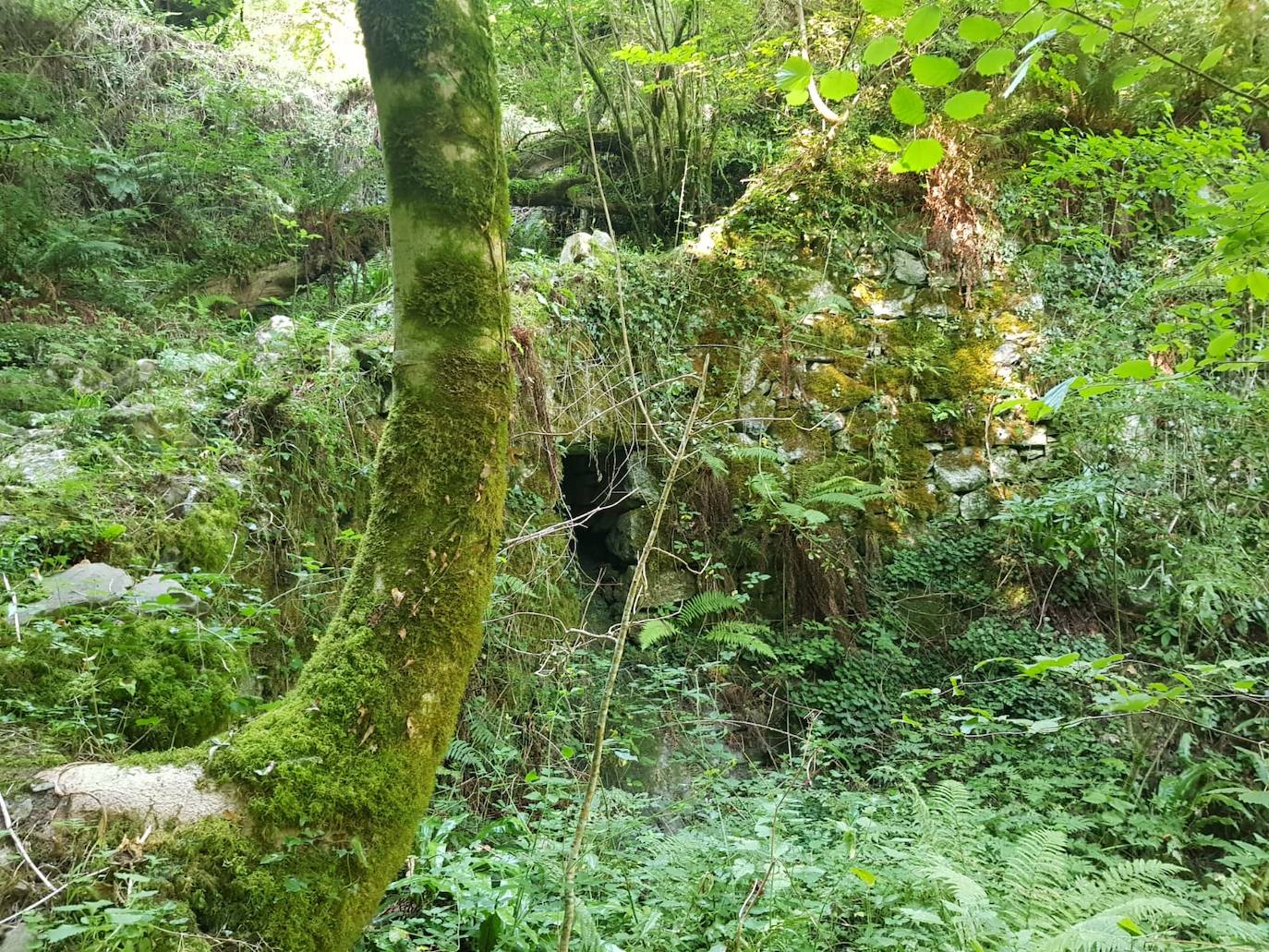 Tres pueblos de montaña y un valle en plena Reserva de la Biosfera