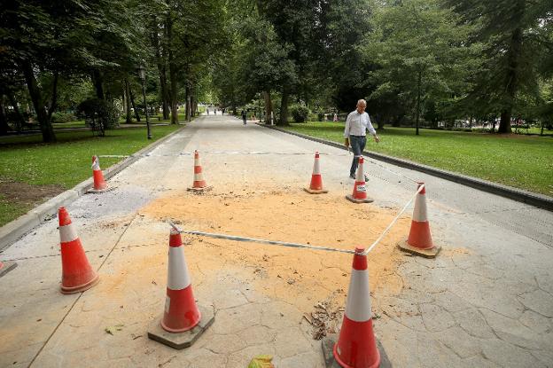 «El Campo está quedando muy bonito»